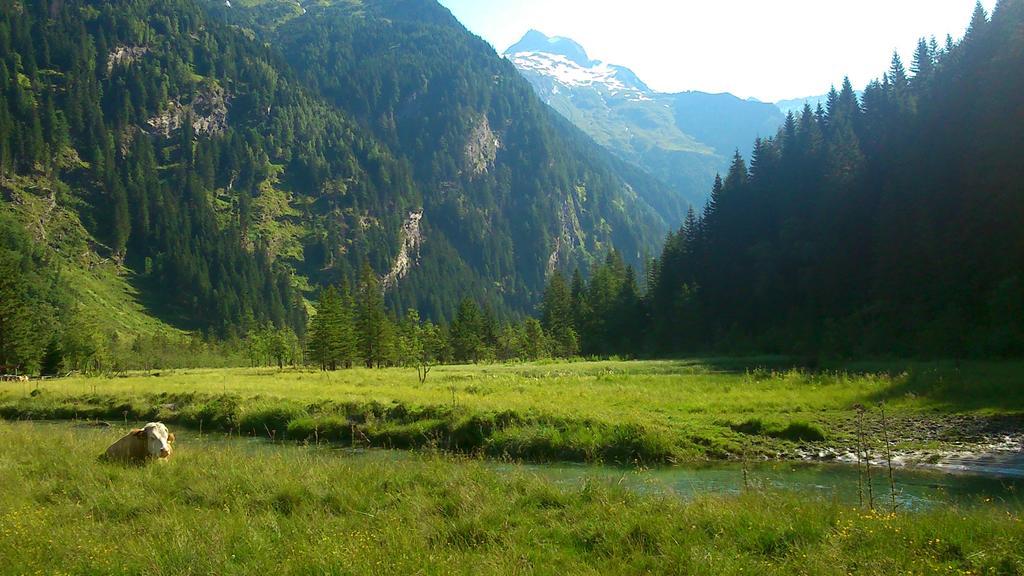 Pension Siegelbrunn B&B Mallnitz Bagian luar foto