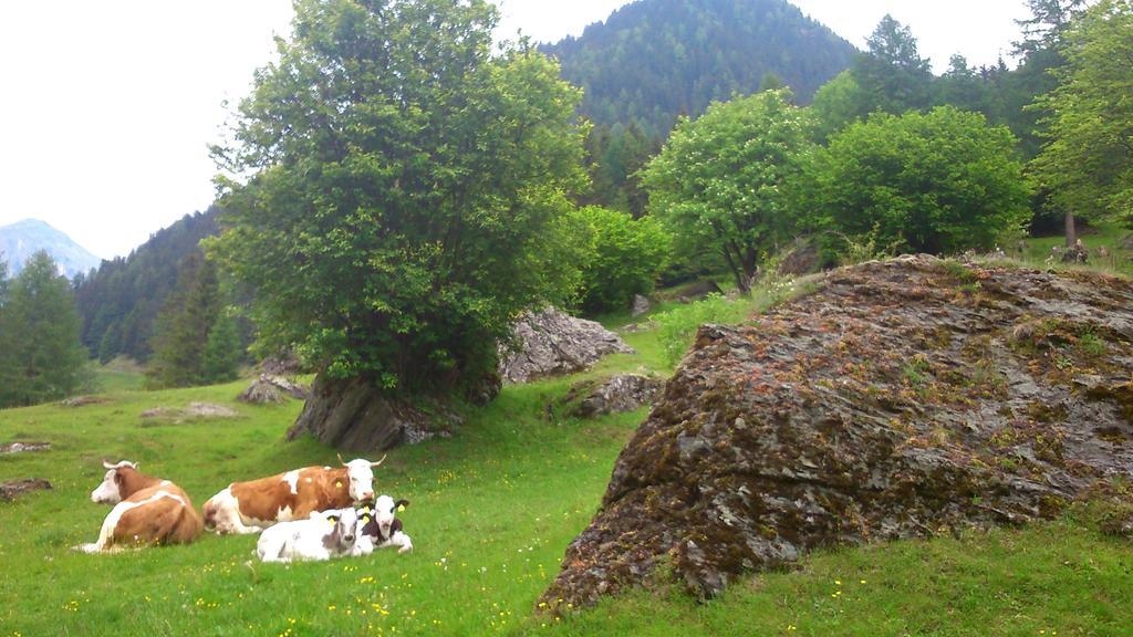Pension Siegelbrunn B&B Mallnitz Ruang foto